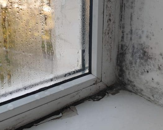 Preventing Mould in Rental Properties